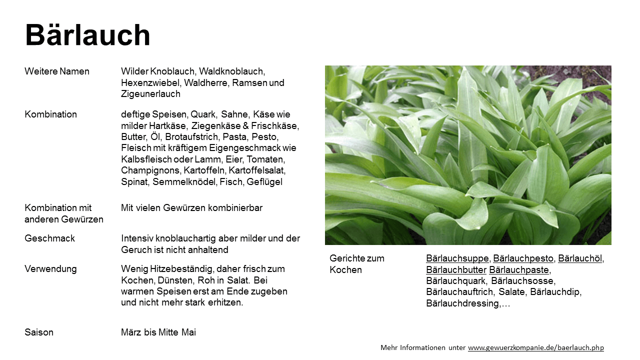 Bärlauch Gewürzkarte