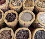 Richtig Würzen - Die Grundregeln Richtig Würzen - Die Grundregeln