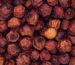 Roter Kampot Pfeffer