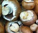 Welche Gewürze passen zu Pilzen Welche Gewürze passen zu Pilzen