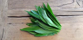 Zutaten für Bärlauchbutter