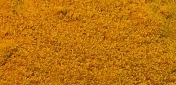 Kurkuma Pulver