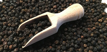 Malabar Pfeffer von der Pfefferküste