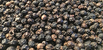Malabar Pfeffer Detail