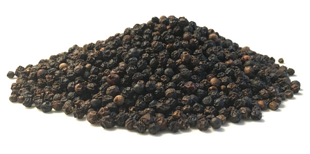 Malabar Pfeffer Malabar Pfeffer