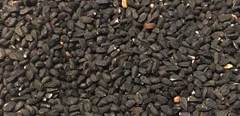 Schwarzkümmel Detail